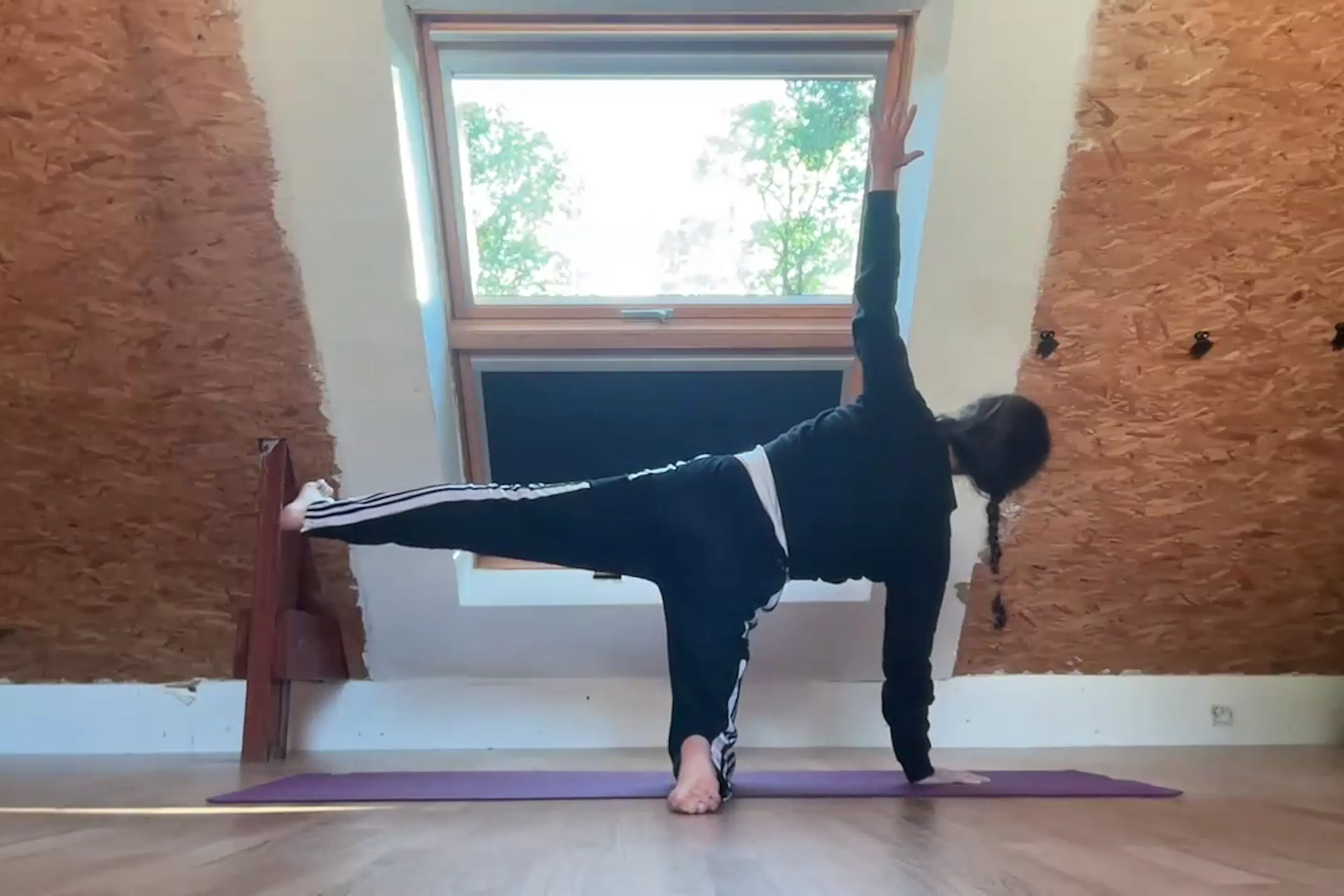Yoga Vinyasa