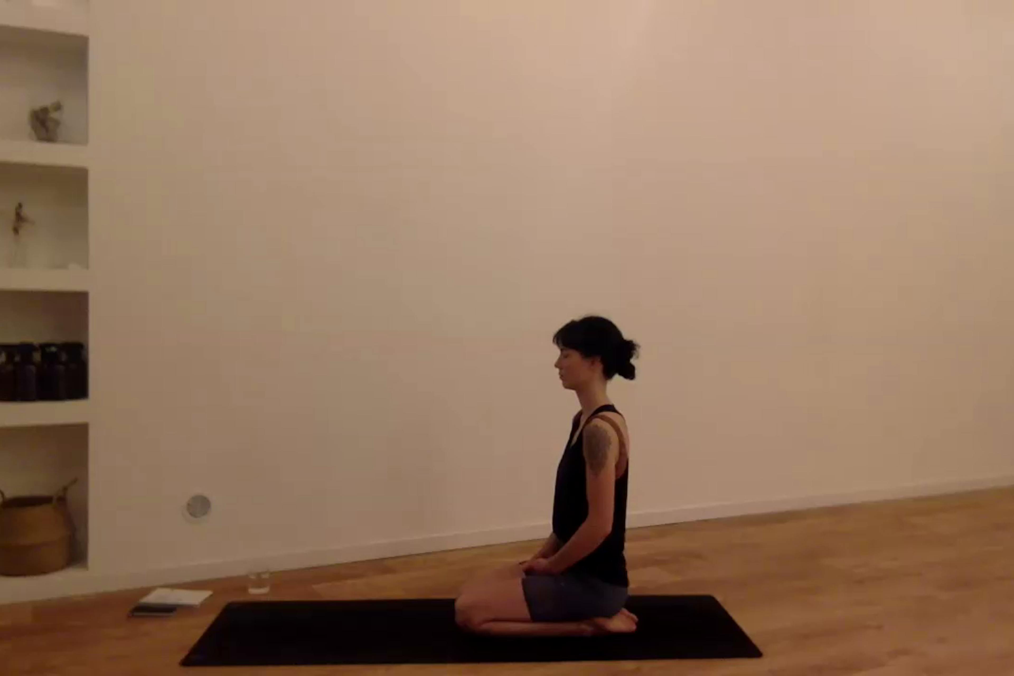Yoga Vinyasa