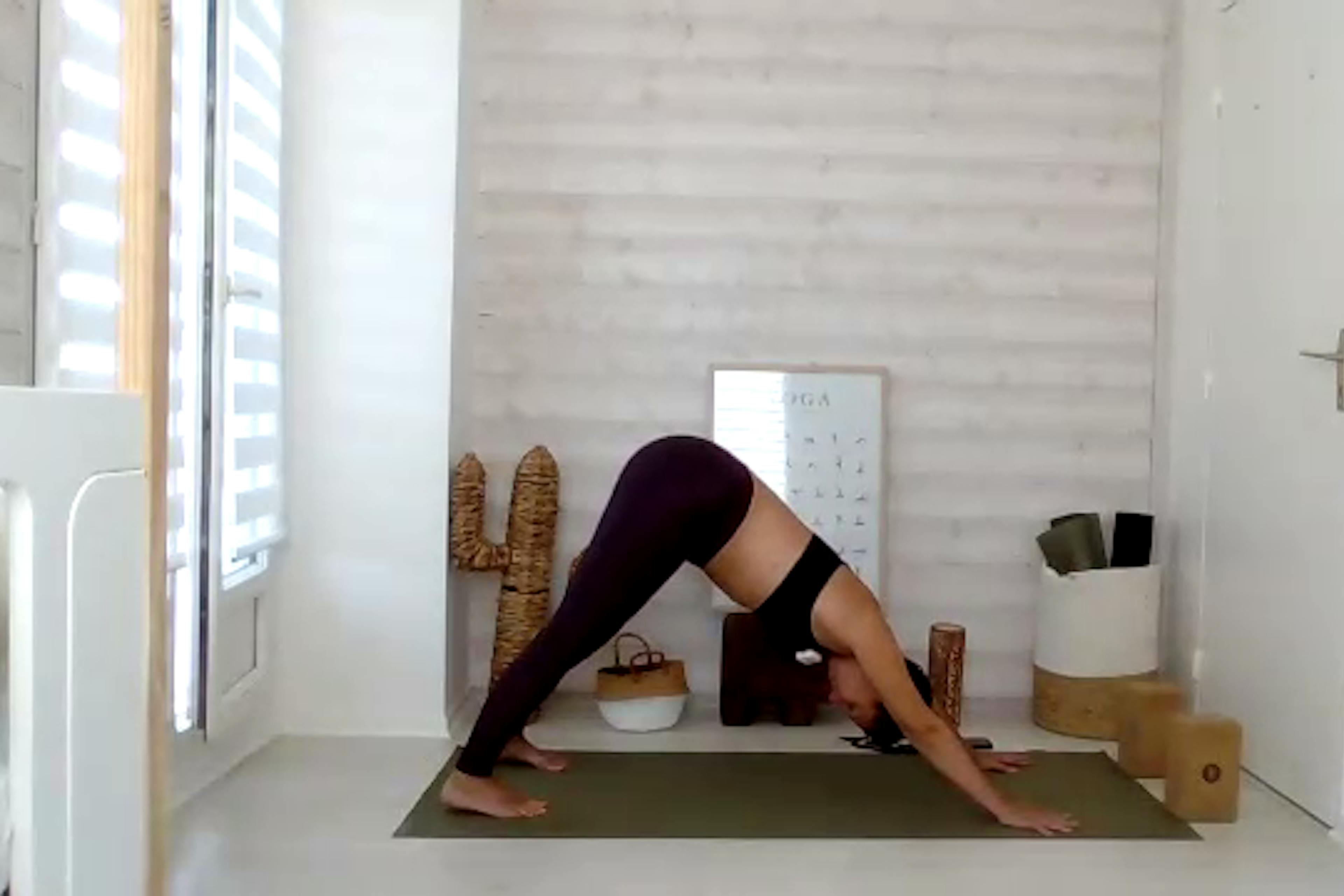 Yoga Vinyasa