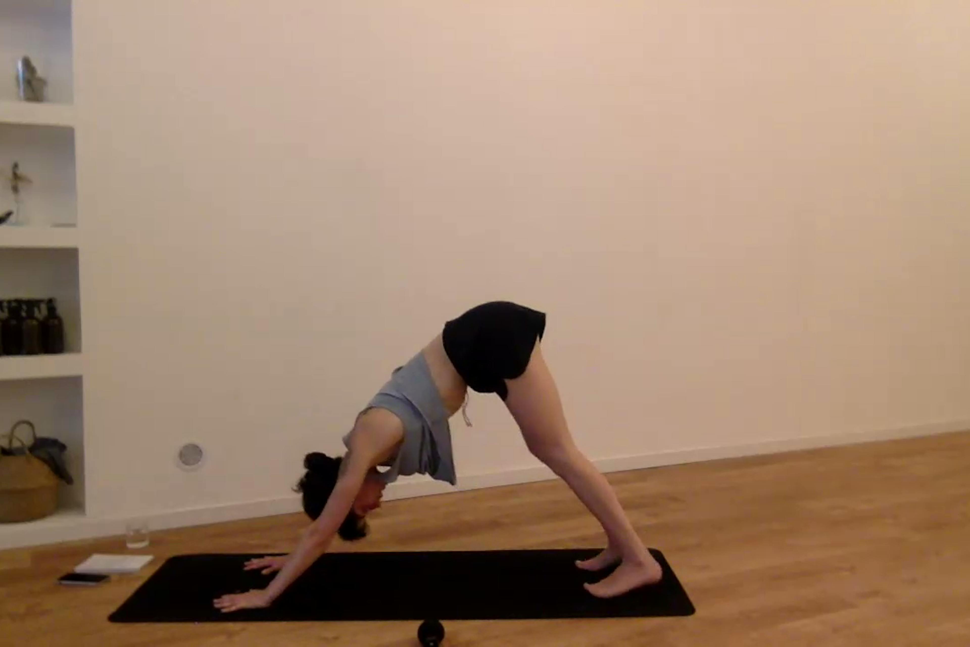 Yoga Vinyasa
